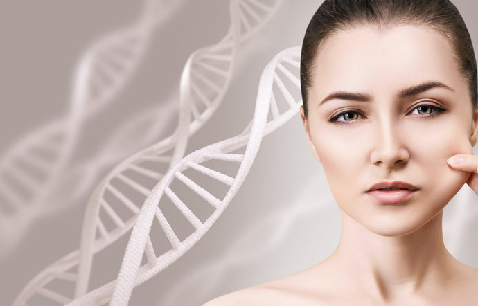 ¿Células madre en cosmética? ¿Qué son y cómo pueden ayudar a tu piel?