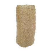 Luffa natural para hacer jabones artesanales en pieza de 15 cm - Tienda Islas Canarias
