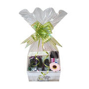 Aromatherapy GIFT BASKETS # CT169